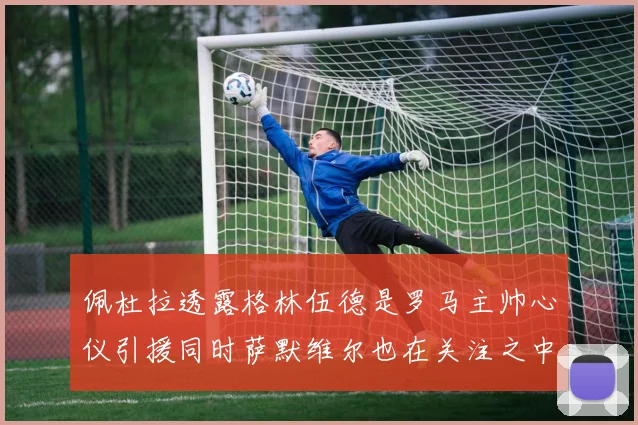 佩杜拉透露格林伍德是罗马主帅心仪引援同时萨默维尔也在关注之中