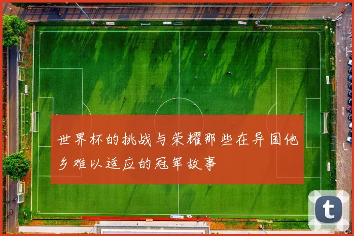 世界杯的挑战与荣耀那些在异国他乡难以适应的冠军故事