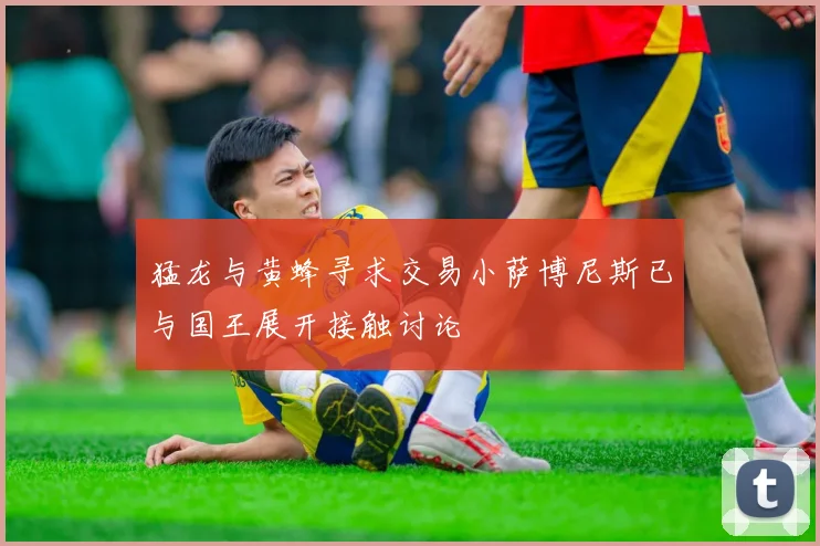 猛龙与黄蜂寻求交易小萨博尼斯已与国王展开接触讨论